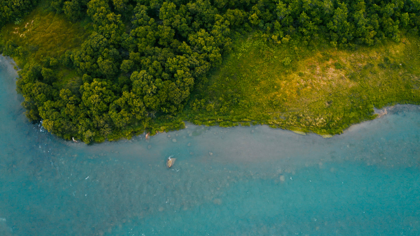 9C. PRE-ORDER: Trucker hat GREEN & BLACK - $30