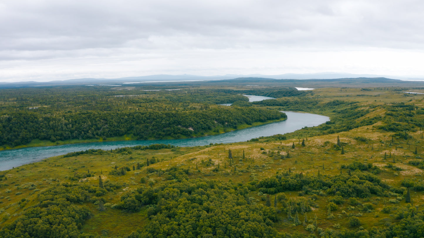 4. PRE-ORDER: 10 lbs wild Alaskan black cod (sablefish) portions $25/lb. - PICK UP ONLY