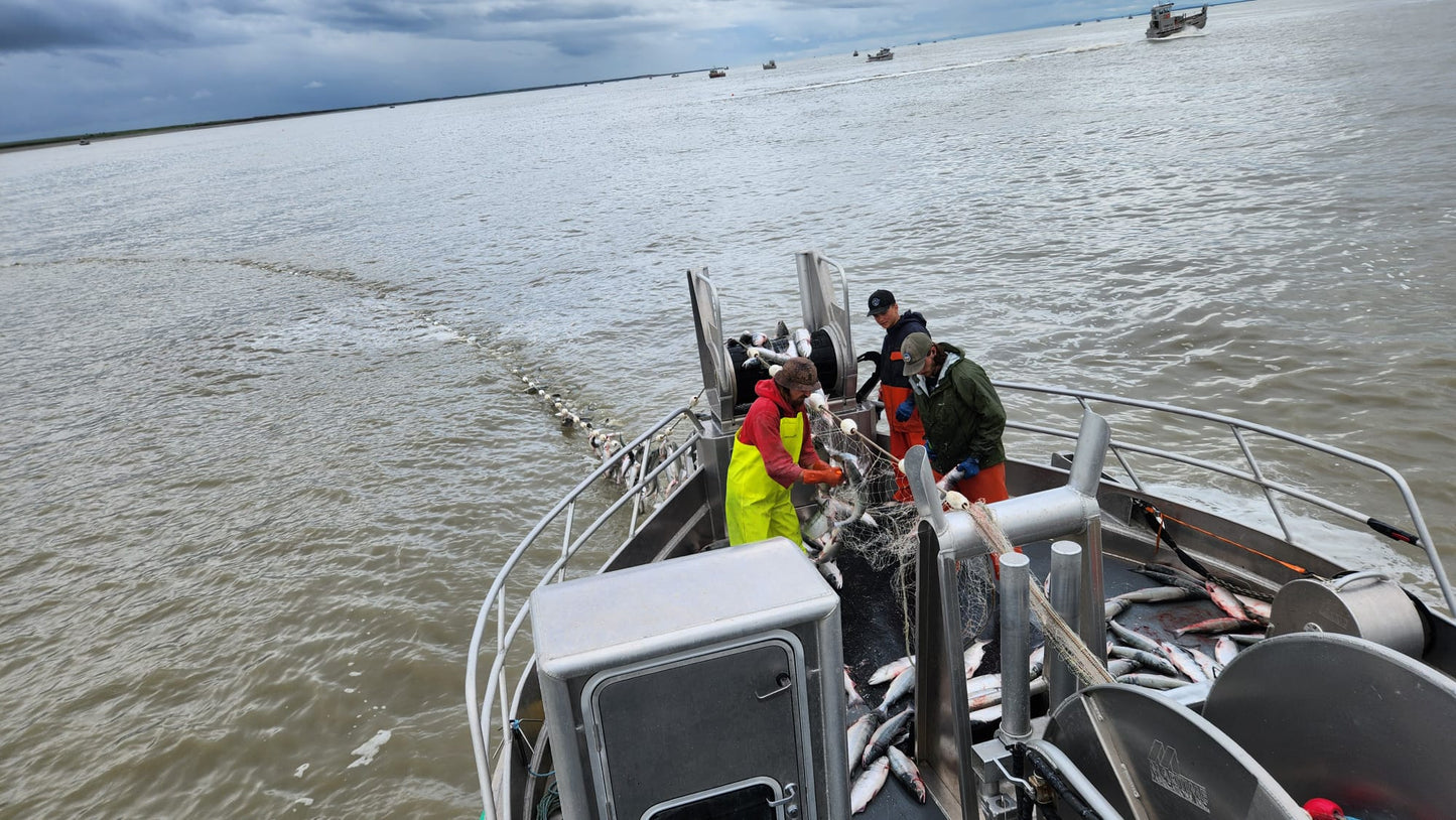 9C. PRE-ORDER: Trucker hat GREEN & BLACK - $30