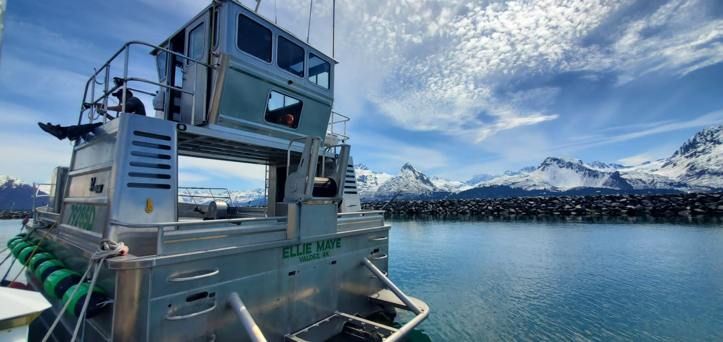9D. PRE-ORDER - Trucker hat BLACK - $30