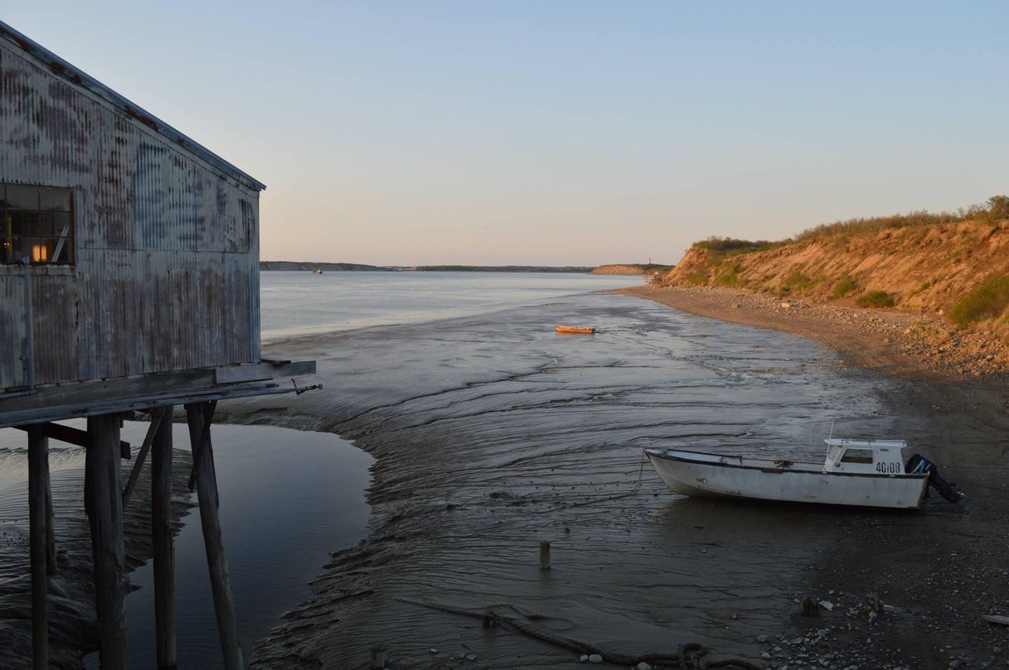 1B. PRE-ORDER: 25 pounds sockeye fillets (pin-bones out) $19.50/lb - PICK UP ONLY